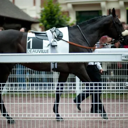 Appartement Proche Balcon Et Parking *