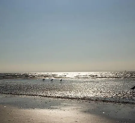 Apartament Proche Balcon Et Parking Deauville