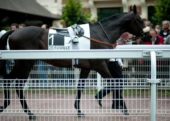 Apartamento Proche Balcon Et Parking *