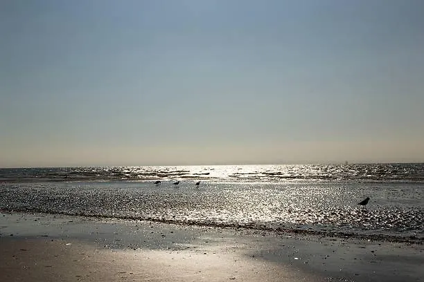 Apartamento Proche Balcon Et Parking Deauville